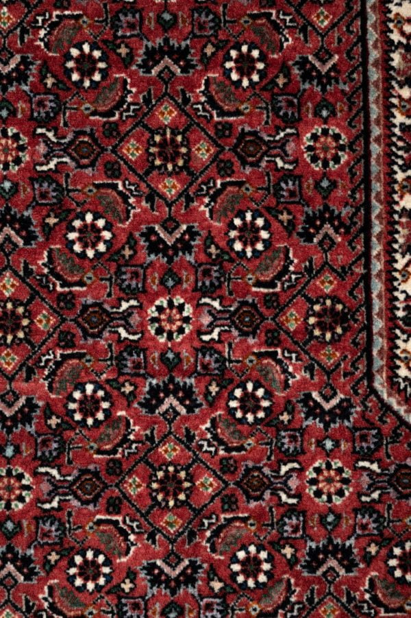 Bidjar  291cm x 254cm / 9'6'' x 8'4'' - Image 5