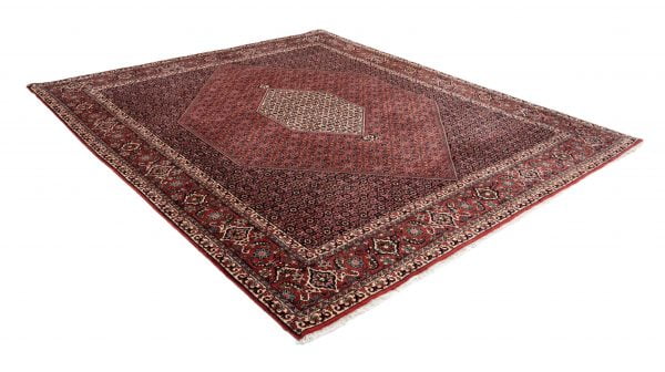 Bidjar  291cm x 254cm / 9'6'' x 8'4'' - Image 10